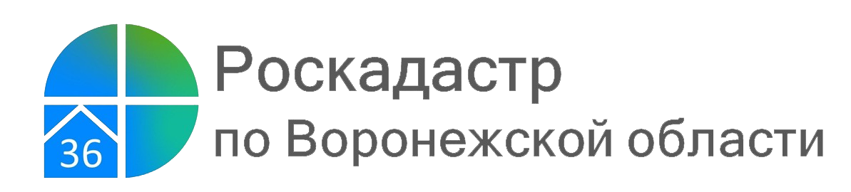 Почти 3 тысячи объектов культурного наследия Воронежской области внесено в ЕГРН.